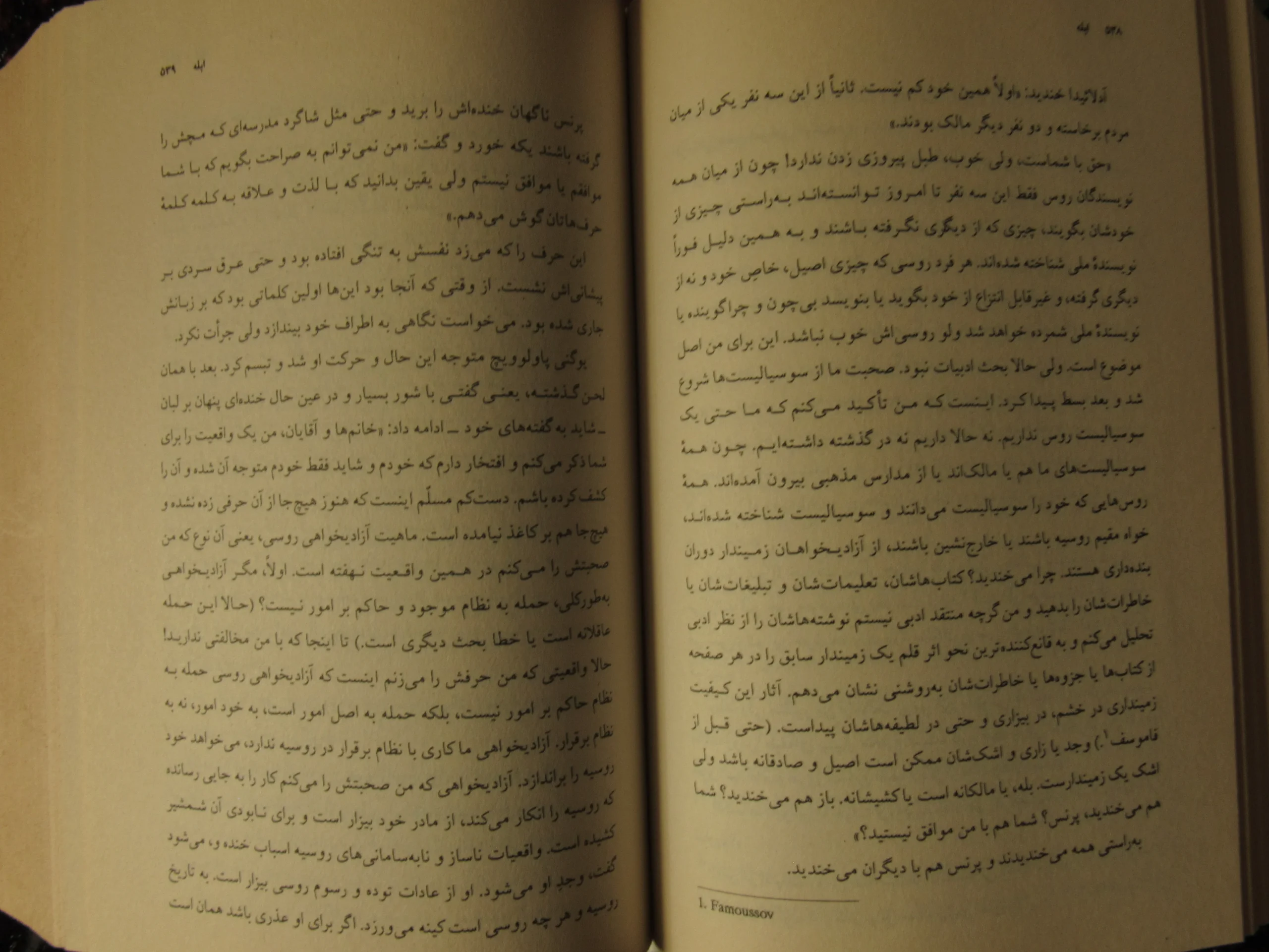 کتاب ابله ترجمه سروش حبیبی | جلد سخت | نشر چشمه - تصویر 6