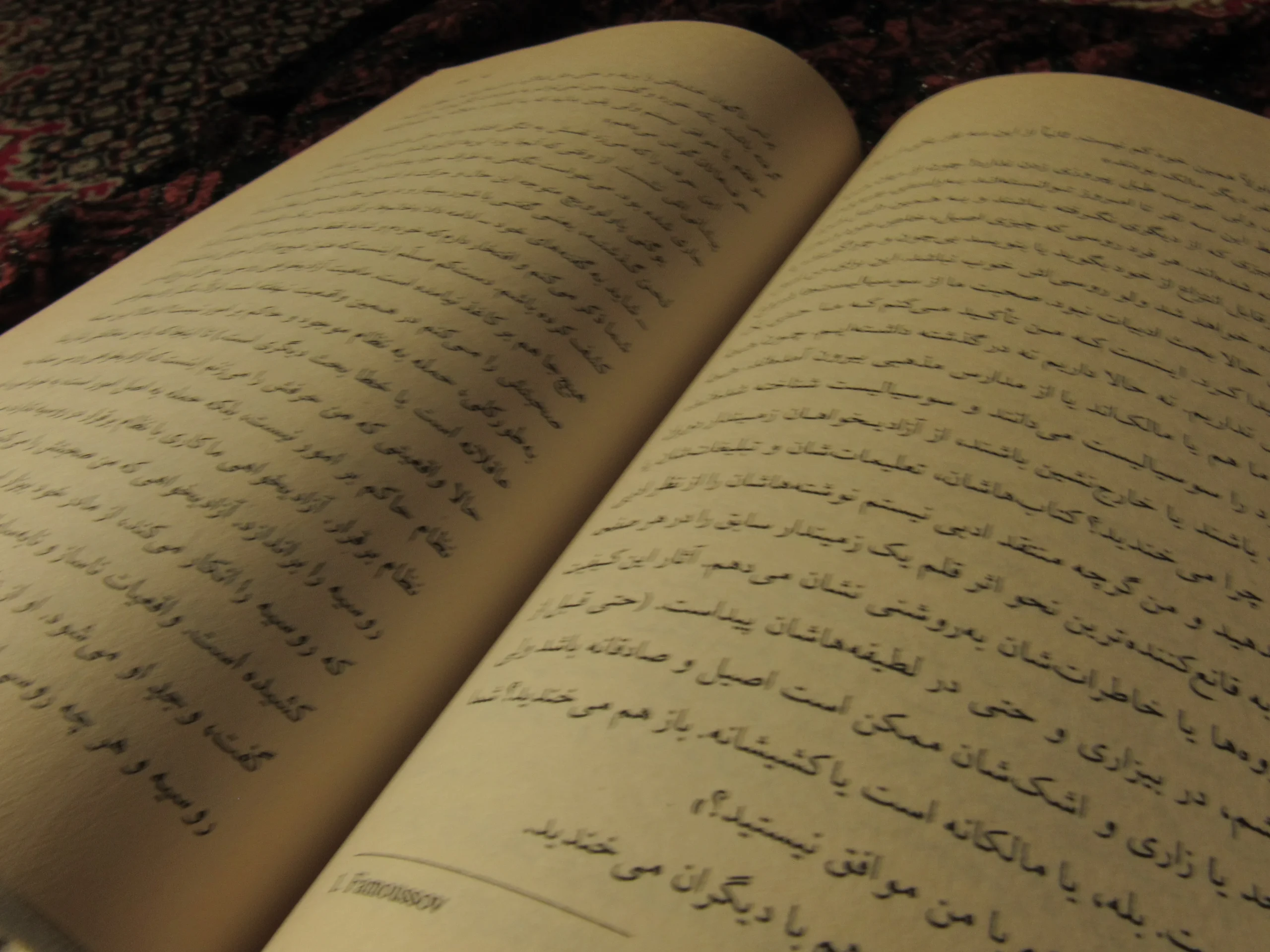 کتاب ابله ترجمه سروش حبیبی | جلد سخت | نشر چشمه - تصویر 5